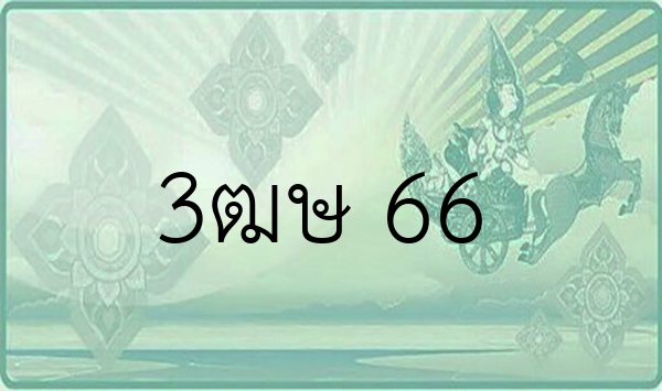 3ฒษ 66